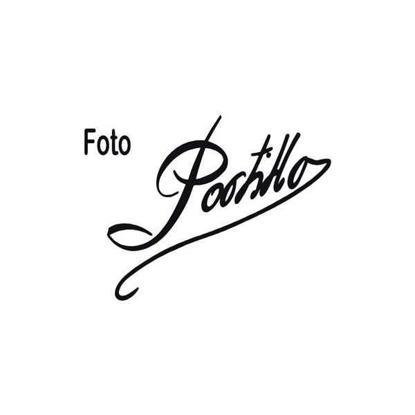 https://www.balonmanosantiagoaranjuez.com/wp-content/uploads/2024/09/LOGO_Portillo.png